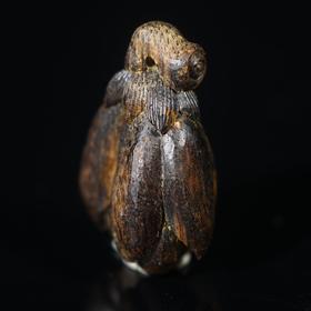 BC.LT5.21-4   文莱沉水玉兰花，1.97g