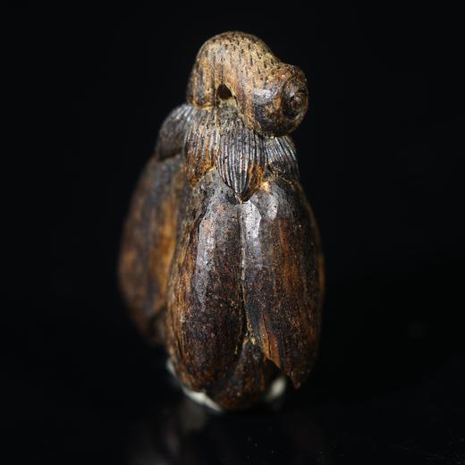 BC.LT5.21-4   文莱沉水玉兰花，1.97g 商品图0