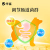 华畜 母狗全能补 成分多营养足 免疫强少生病 补气血奶水足 强骨骼幼犬壮 商品缩略图5