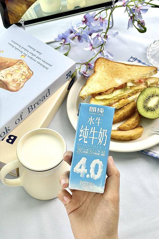 朗纯4.0g水牛纯牛奶 商品图11