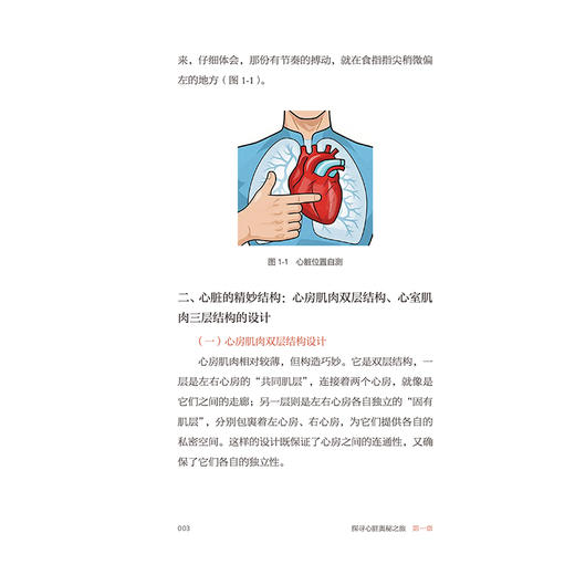 照顾好你的心脏 做自己的知心人 张宇峰 王晶晶 通过剖析药物的作用原理用法及注意事项 提供科学的药物治疗指导 人民卫生出版社 商品图4