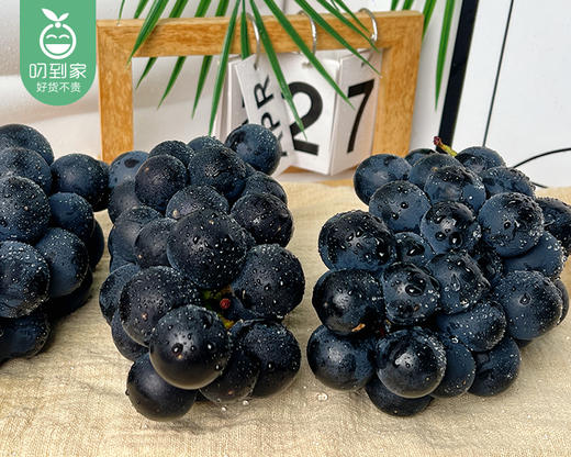浙江巨峰葡萄/1份（500g±20g） 商品图6