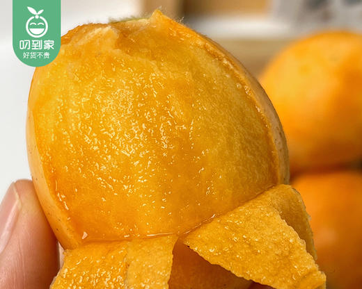 浙江新鲜枇杷/1份（500g±20g） 商品图3