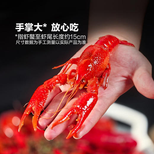 MM 山姆 Member's Mark 油焖小龙虾 1.2kg（600g2） 商品图2