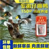 【肉质鲜嫩】物源初见 灵芝石斛西洋参炖鸭汤 1袋（仔麻鸭1.1kg+西洋参枸杞汤料包50g） 入口满满自然香 商品缩略图0
