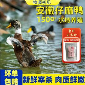 【肉质鲜嫩】物源初见 灵芝石斛西洋参炖鸭汤 1袋（仔麻鸭1.1kg+西洋参枸杞汤料包50g） 入口满满自然香