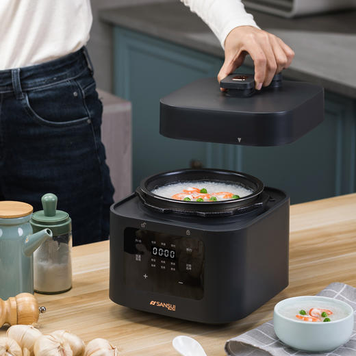 山水 迷你智能电压力锅 SY-20D112 商品图3