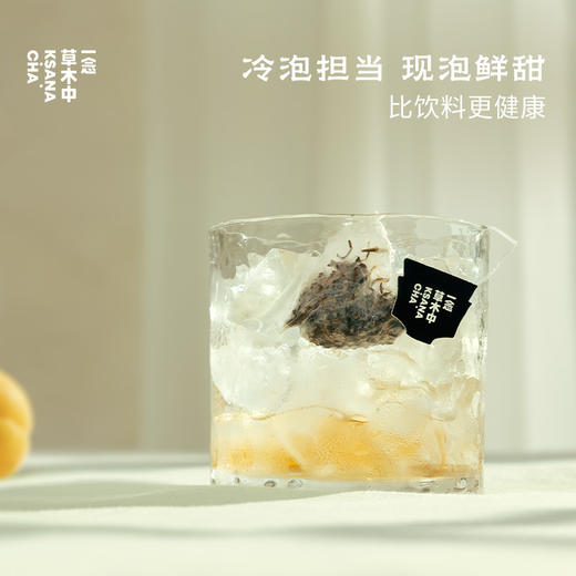 【产品上新】原叶冷萃茶集 | 自在茶系列 | 2.5g*15包/盒 | 多口味组合 商品图3