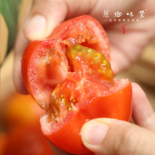 有机瑞粉番茄/草莓西红柿（基地直发-顺丰包邮）|3斤、4.5斤装，来自云南“四只瓢虫”昆明基地，生产者：王建钧【合作生产，公平贸易】 商品图10