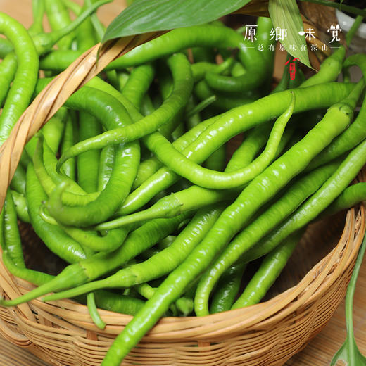 生态青椒/二荆条辣椒/牛角椒（农场直发-顺丰包邮）｜ 成都郫都区基地【原乡农场，自产自销】 商品图2