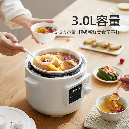 山水 智能电压力锅 SY-3061 商品图1