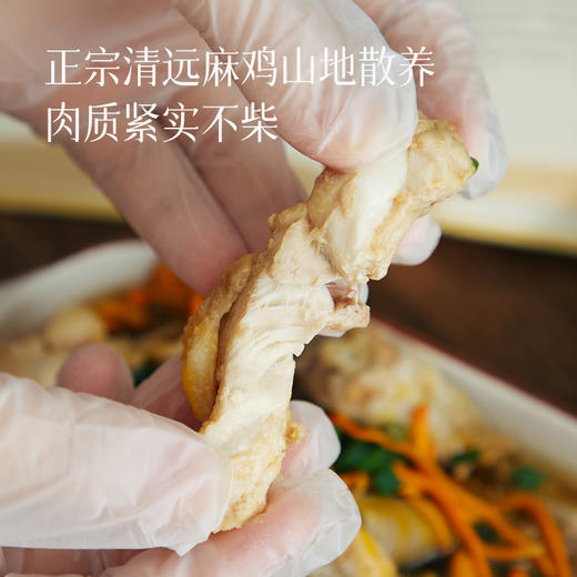 食养节【清远鸡】【送莫氏煲汤同款食材1袋】生态慢养走地鸡 皮薄爽脆 鸡肉细腻不柴 自带浓郁鲜香 清蒸/煲汤美味营养 商品图1