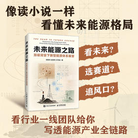 未来能源之路：双碳背景下新型能源体系展望 新能源转型体系全景分析新质生产力前瞻趋势书籍