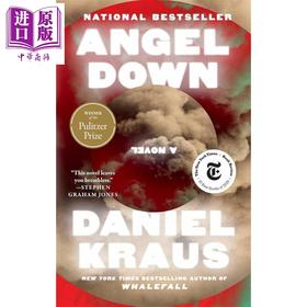 预售 【中商原版】天使坠落 平装  2026普利策小说奖 Angel Down 英文原版 Daniel Kraus