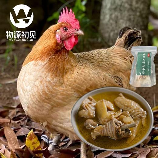 【鸡肉鲜嫩】物源初见 五指毛桃炖鸡汤 1袋（老母鸡1.1kg+五指毛桃茯苓汤料包82g） 香气四溢鸡肉爽口 商品图2