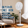 14寸落地扇旋钮机械款 XD-3506FA 商品缩略图0