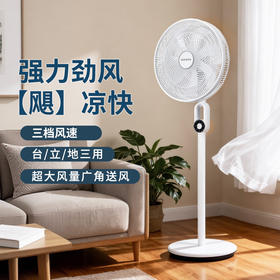 14寸落地扇旋钮机械款 XD-3506FA
