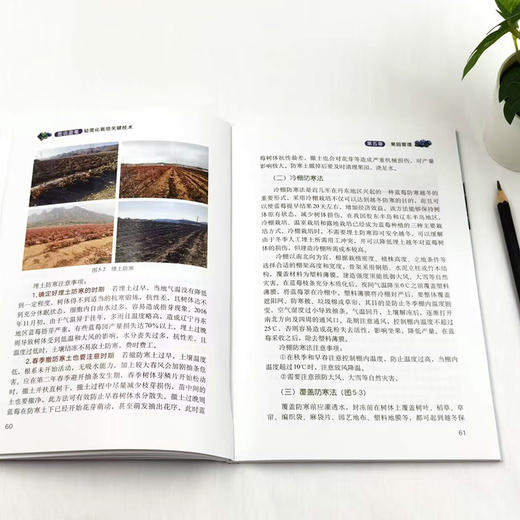 图说蓝莓轻简化栽培关键技术 商品图4