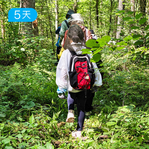 小兴安岭亲子户外 | 夏日轻徒步 把暑假交给22℃原始森林 | 5日 商品图10
