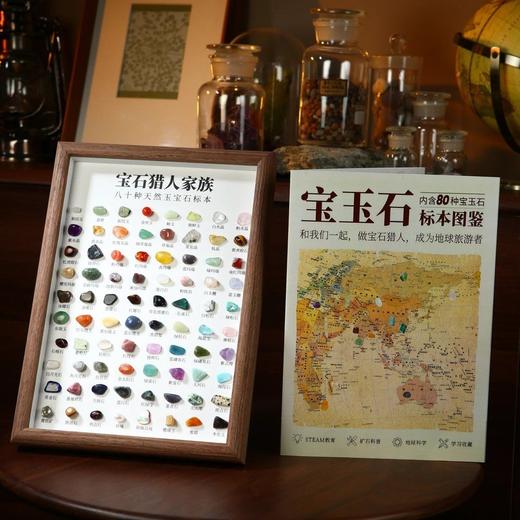 六一礼物🎁80种天然宝石标本💎！让孩子化身小小“地质学家”，探索自然奥秘🏞️ 【HZ】 商品图0