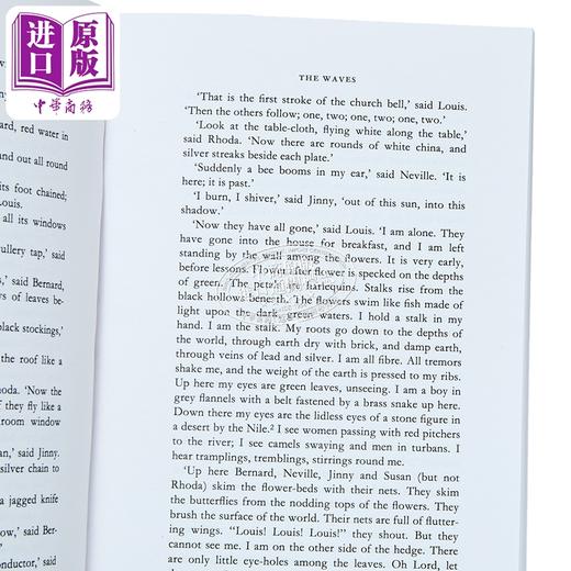 【中商原版】企鹅黑经典 海浪 伍尔夫 英文原版 The Waves Virginia Woolf 商品图2