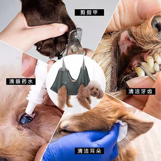 现货批发宠物洗澡吊床猫咪洗澡工具防挣脱狗狗洗澡服剪指甲洗耳朵 商品图2
