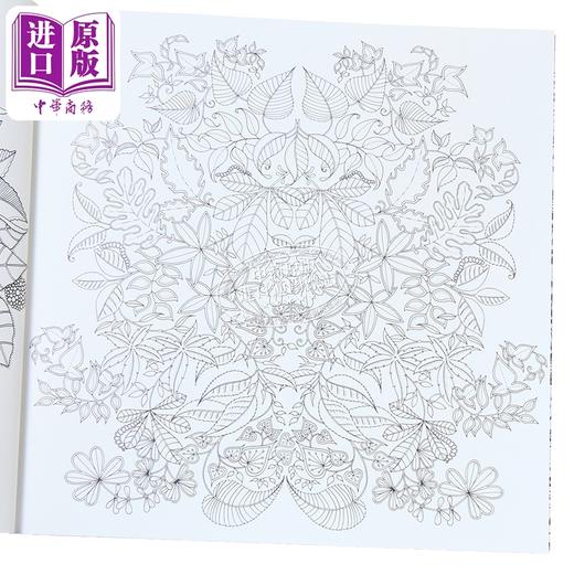 【中商原版】秘密花园涂色书 十周年限量特别版 Secret Garden 10th Anniversary Special Edition 英文原版 Johanna Basford 商品图2