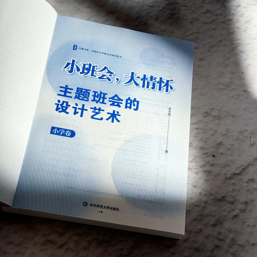 小班会 大情怀 主题班会的设计艺术 小学初中高中卷 大夏书系 商品图12