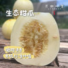 生态甜瓜（基地直发-顺丰包邮）| 4斤装，来自陕西咸阳，生产者：郑力行，【合作生产，公平贸易】 商品缩略图0