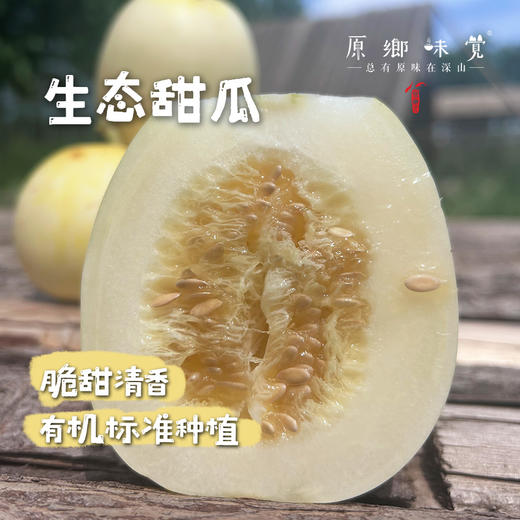 生态甜瓜（基地直发-顺丰包邮）| 4斤装，来自陕西咸阳，生产者：郑力行，【合作生产，公平贸易】 商品图0
