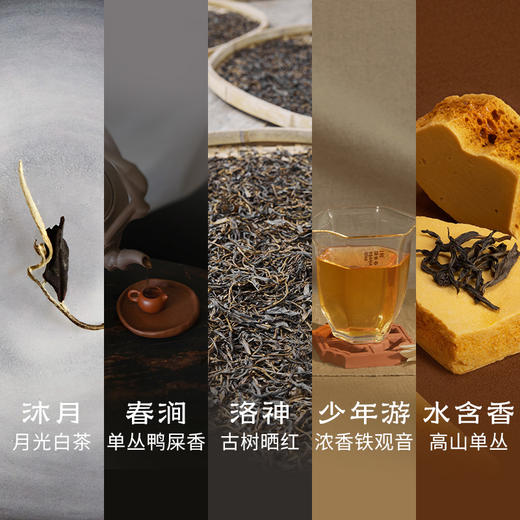 【产品上新】原叶冷萃茶集 | 自在茶系列 | 2.5g*15包/盒 | 多口味组合 商品图1