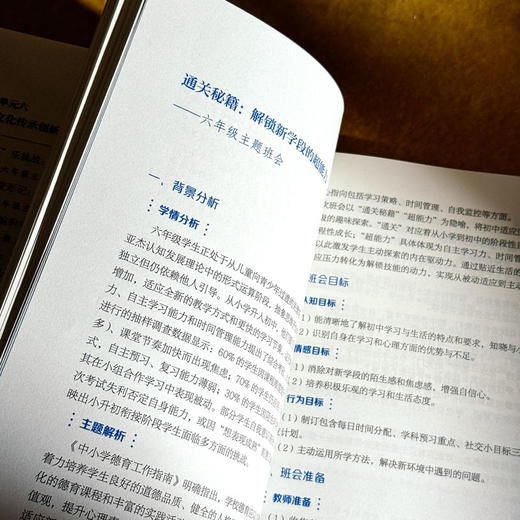 小班会 大情怀 主题班会的设计艺术 小学初中高中卷 大夏书系 商品图10