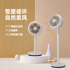 7寸立式空气循环扇XD-1855FA