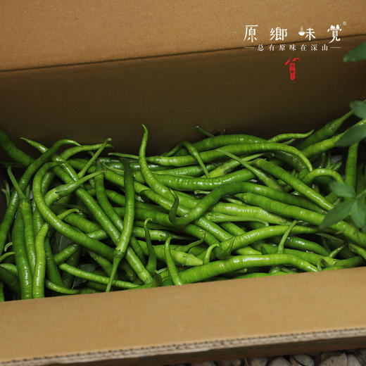 生态青椒/二荆条辣椒/牛角椒（农场直发-顺丰包邮）｜ 成都郫都区基地【原乡农场，自产自销】 商品图8