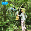 小兴安岭亲子户外 | 夏日轻徒步 把暑假交给22℃原始森林 | 5日 商品缩略图6