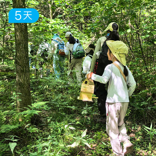 小兴安岭亲子户外 | 夏日轻徒步 把暑假交给22℃原始森林 | 5日 商品图6