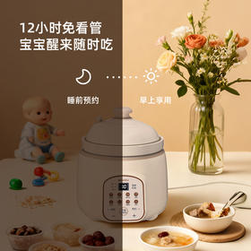 山水 多功能微压电炖锅 SDZ-21S