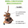 解剖刀、相机与鸢尾：116种中国植物科学笔记 商品缩略图4