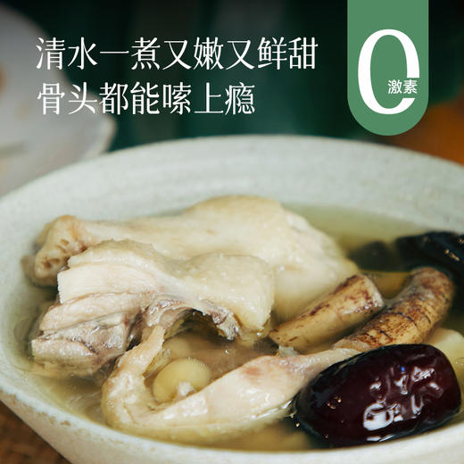食养节【清远鸡】【送莫氏煲汤同款食材1袋】生态慢养走地鸡 皮薄爽脆 鸡肉细腻不柴 自带浓郁鲜香 清蒸/煲汤美味营养 商品图0