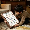 六一礼物🎁80种天然宝石标本💎！让孩子化身小小“地质学家”，探索自然奥秘🏞️ 【HZ】 商品缩略图1
