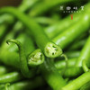 生态青椒/二荆条辣椒/牛角椒（农场直发-顺丰包邮）｜ 成都郫都区基地【原乡农场，自产自销】 商品缩略图10