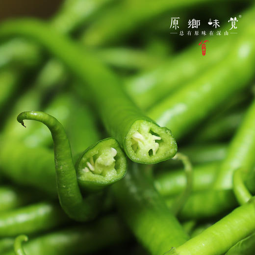 生态青椒/二荆条辣椒/牛角椒（农场直发-顺丰包邮）｜ 成都郫都区基地【原乡农场，自产自销】 商品图10