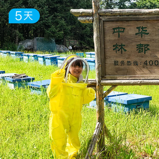 小兴安岭亲子户外 | 夏日轻徒步 把暑假交给22℃原始森林 | 5日 商品图8