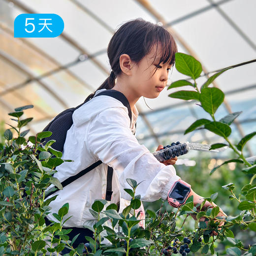 小兴安岭亲子户外 | 夏日轻徒步 把暑假交给22℃原始森林 | 5日 商品图7