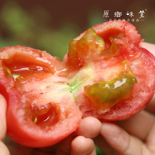 有机瑞粉番茄/草莓西红柿（基地直发-顺丰包邮）|3斤、4.5斤装，来自云南“四只瓢虫”昆明基地，生产者：王建钧【合作生产，公平贸易】 商品图11
