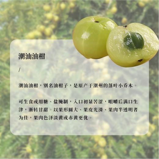 小花样油柑酒《给阿嬷的情书》750ml 商品图1
