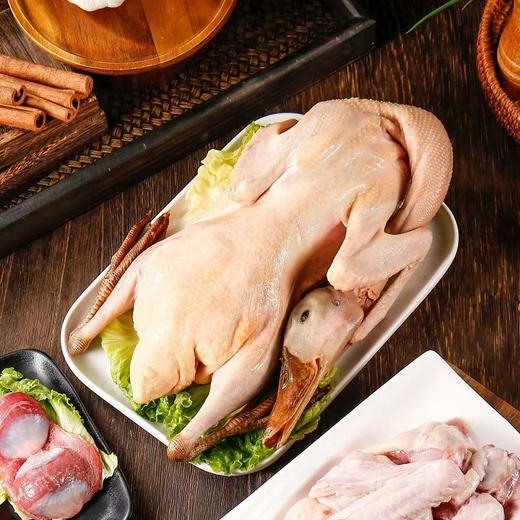 【肉质鲜嫩】物源初见 灵芝石斛西洋参炖鸭汤 1袋（仔麻鸭1.1kg+西洋参枸杞汤料包50g） 入口满满自然香 商品图1