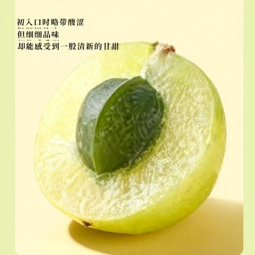 小花样油柑酒《给阿嬷的情书》750ml 商品图3