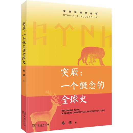突厥：一个概念的全球史(突厥学研究丛书) 商品图0