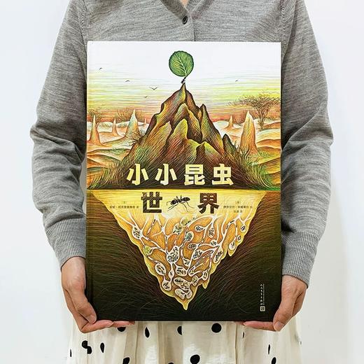 小小昆虫世界（精装·手工书） 商品图1
